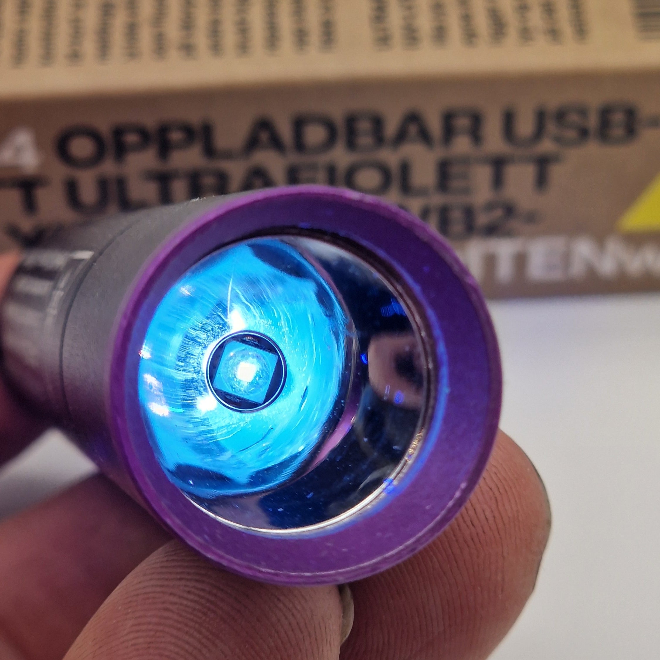 UV-lykt