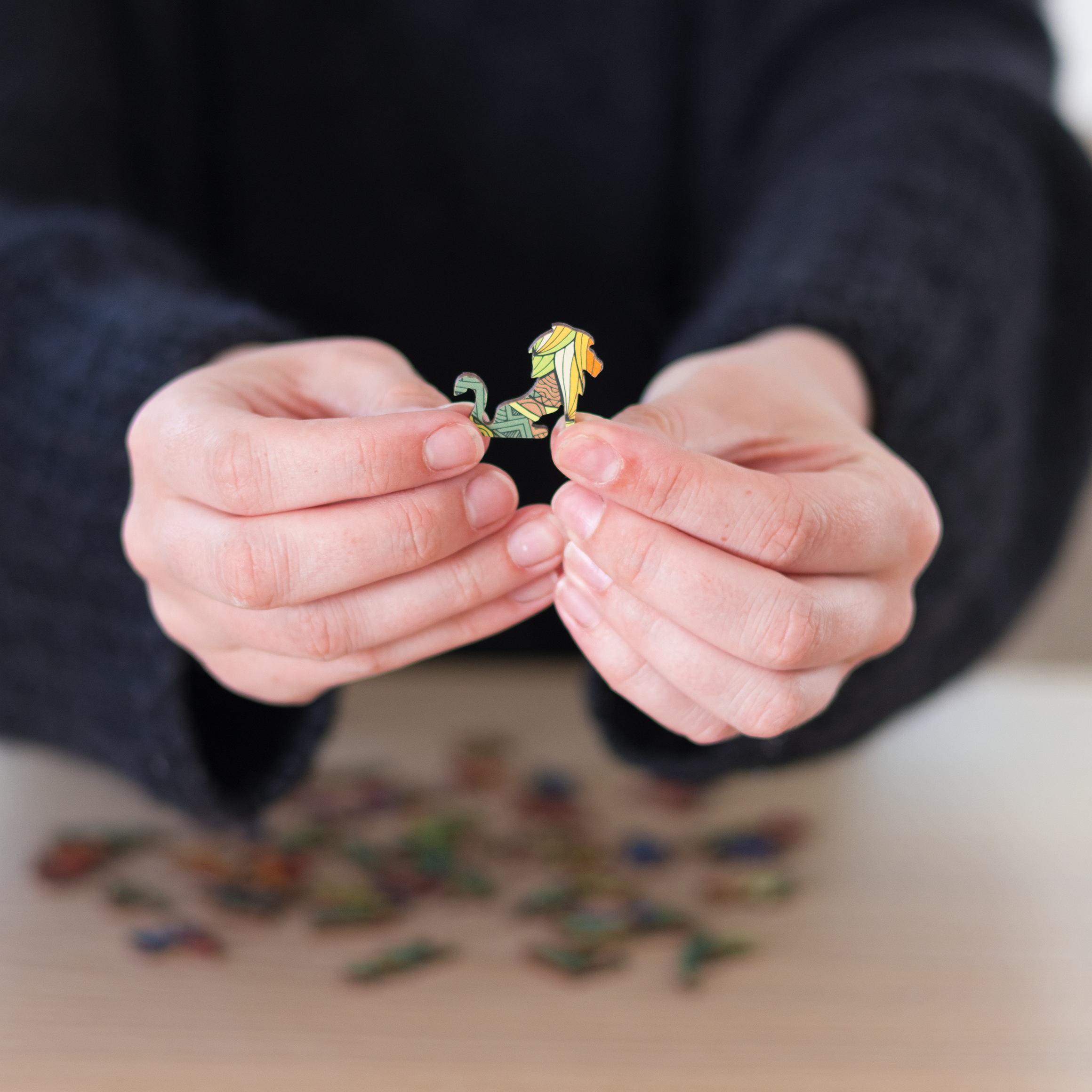 Figure puzzle