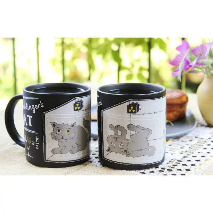 Schrödingers koppesett