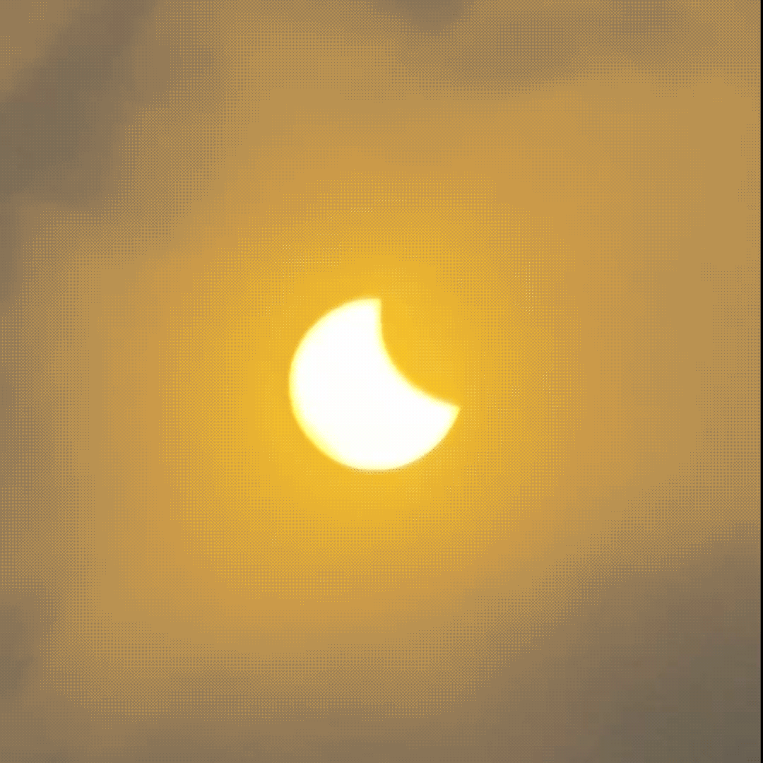 Solformørkelsesbriller