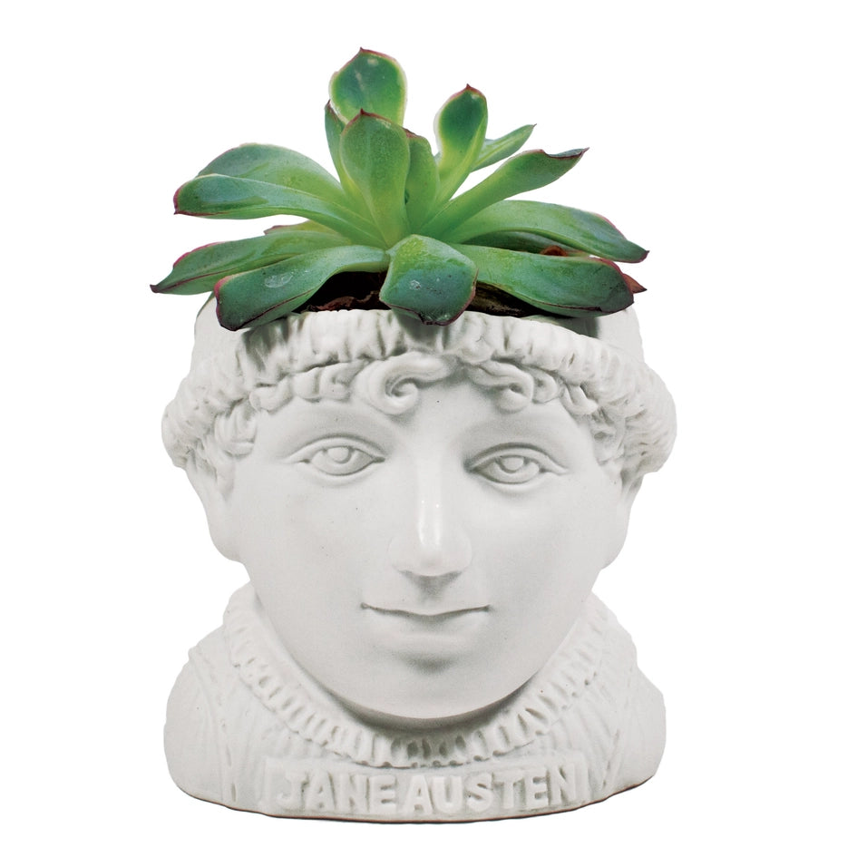 Jane Austen-potte