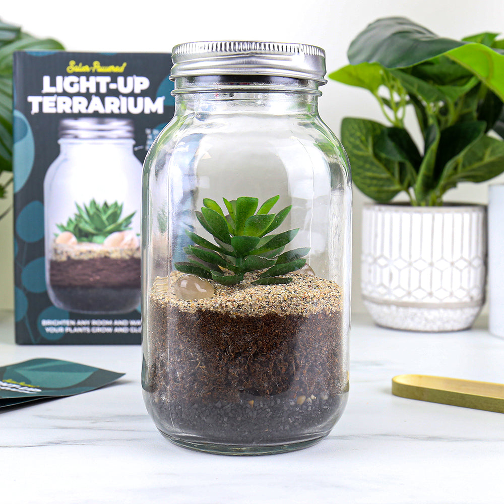 Terrarium med solcelle