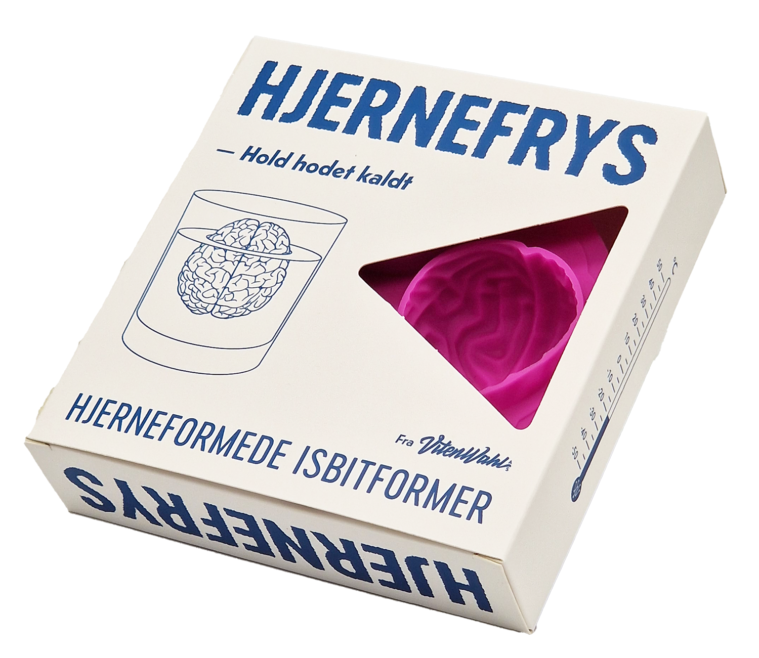 Hjernefrys