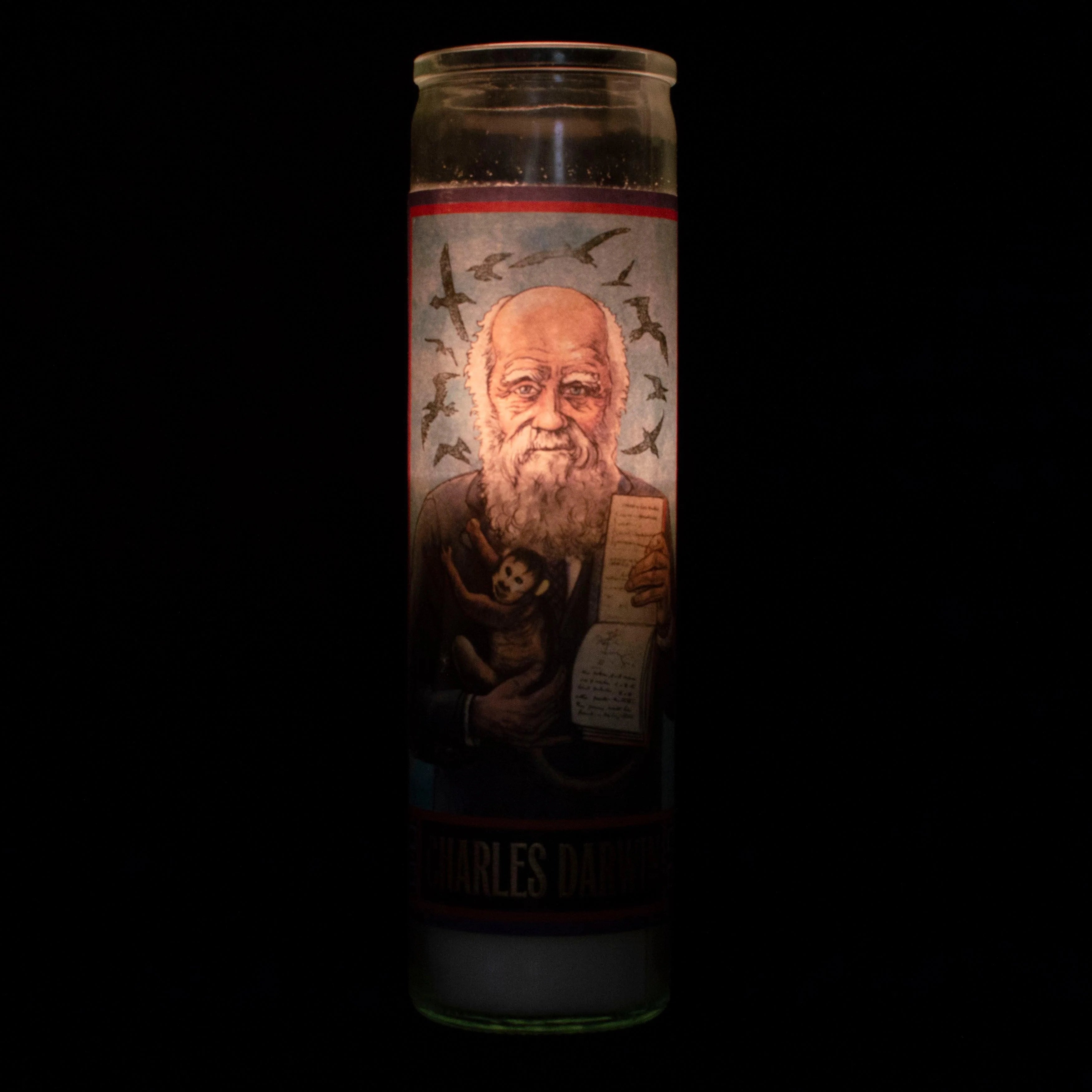 Charles Darwin votivlys