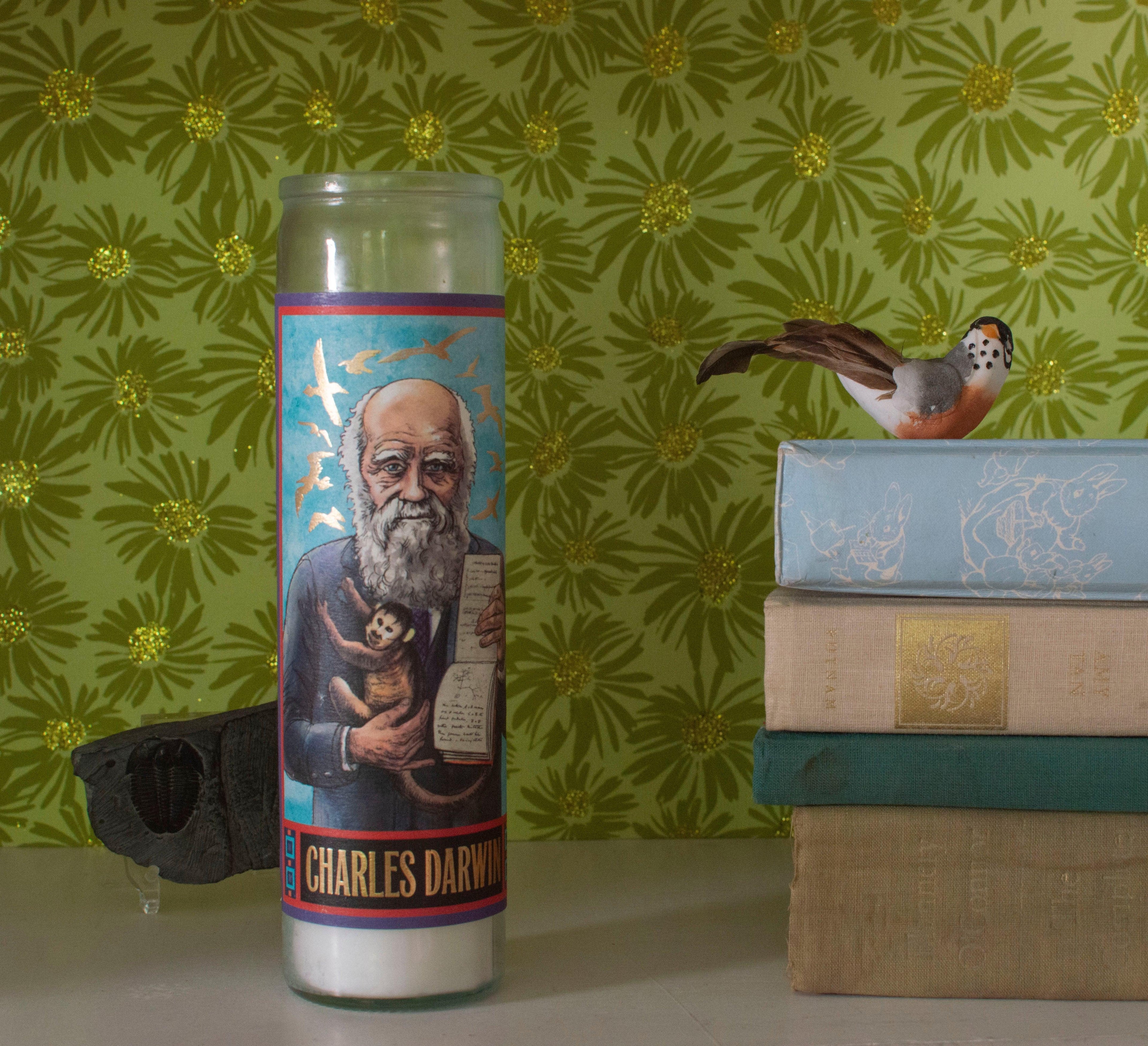 Charles Darwin votivlys