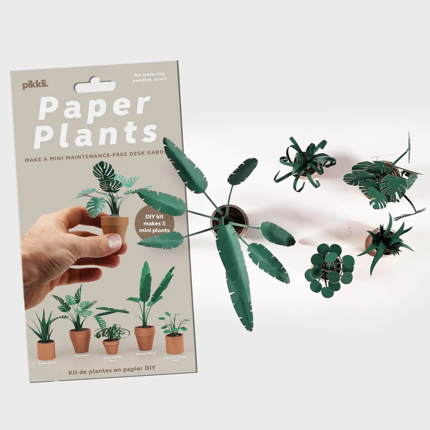 Papirplanter