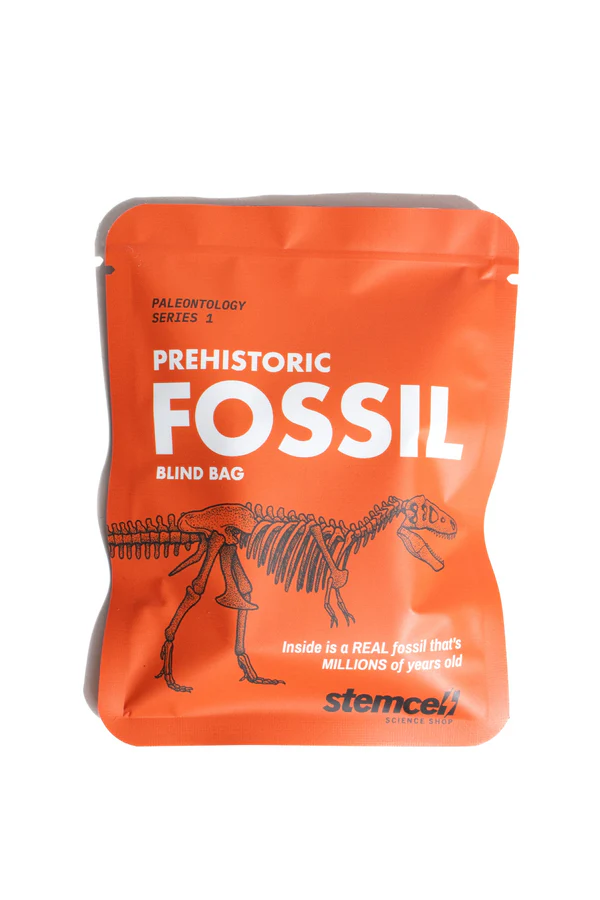 Prehistorisk Fossil - Nerdebutikken