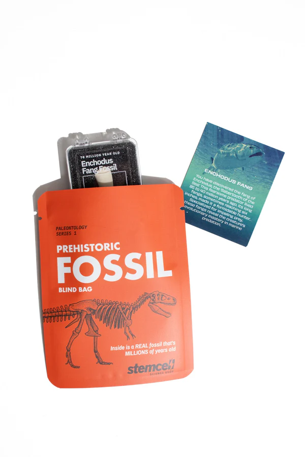 Prehistorisk Fossil - Nerdebutikken