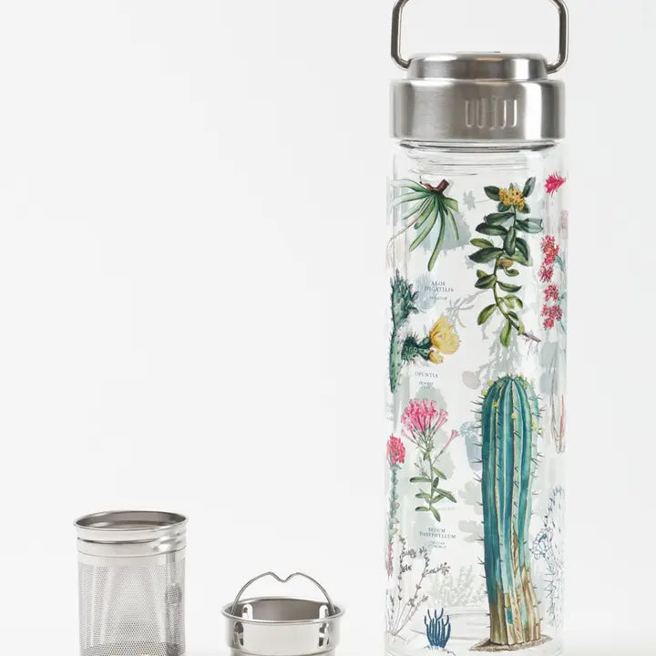 Sukkulent-termos i glass