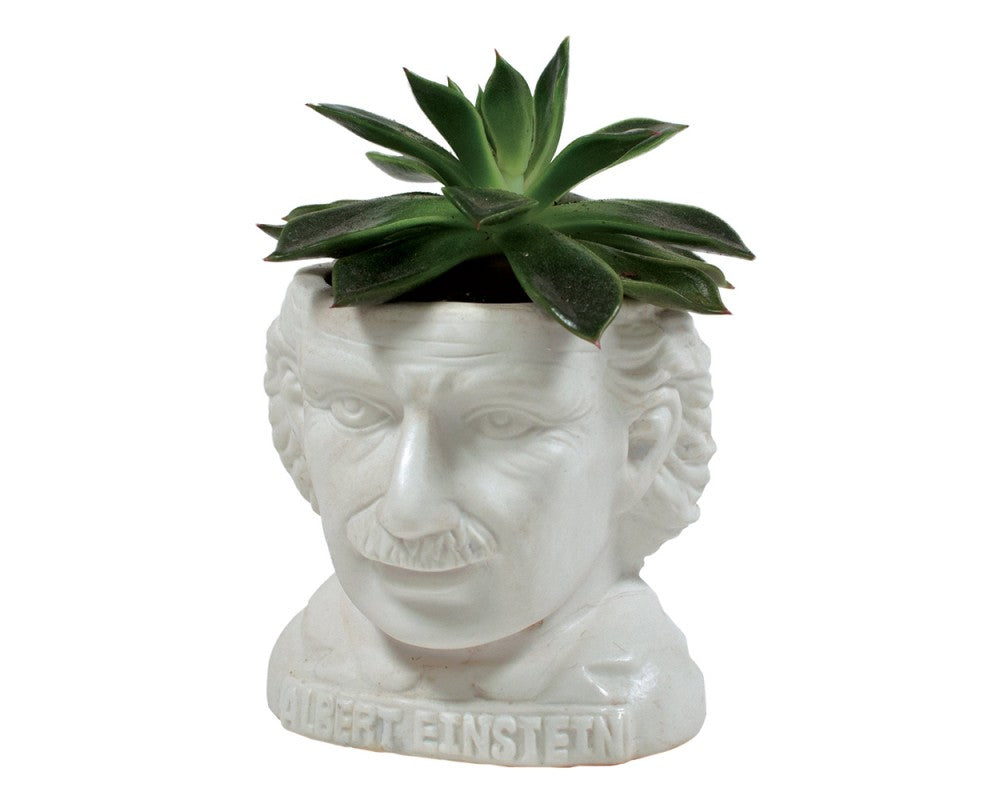 Albert Einstein-potte