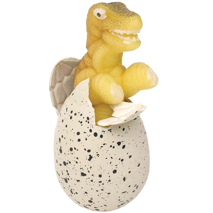 Dinosaur eggs