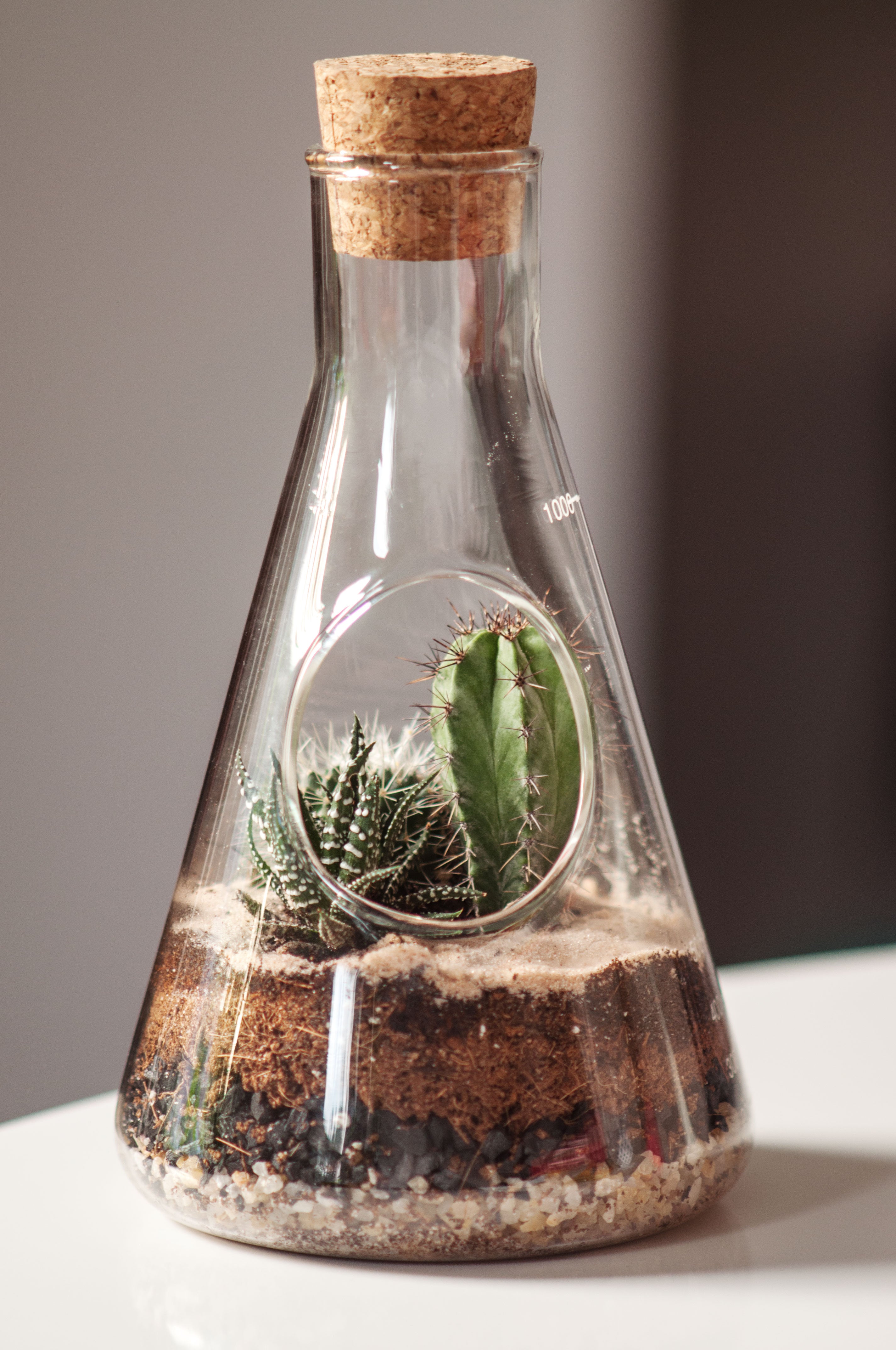 Kjemi-terrarium