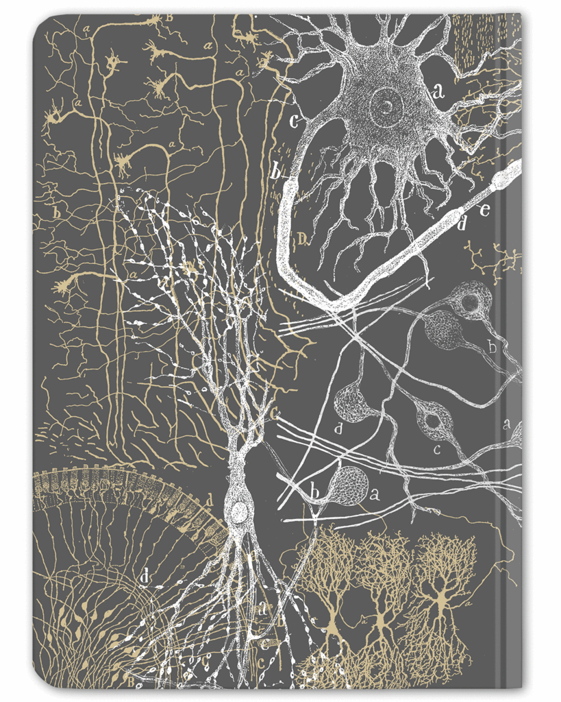 Nerdens notatbok - Softcover / Nevroner