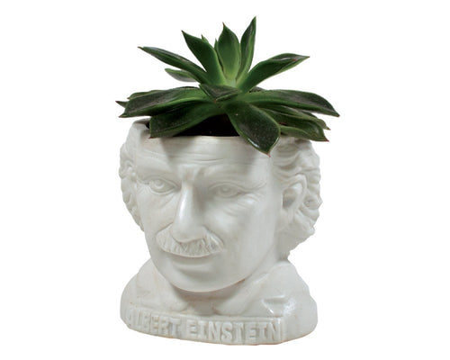 Albert Einstein-potte