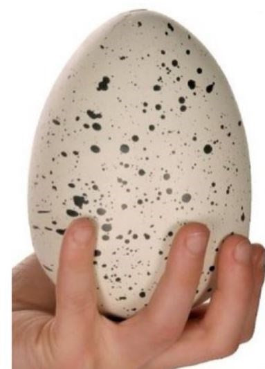 Dinosauregg - Nerdebutikken