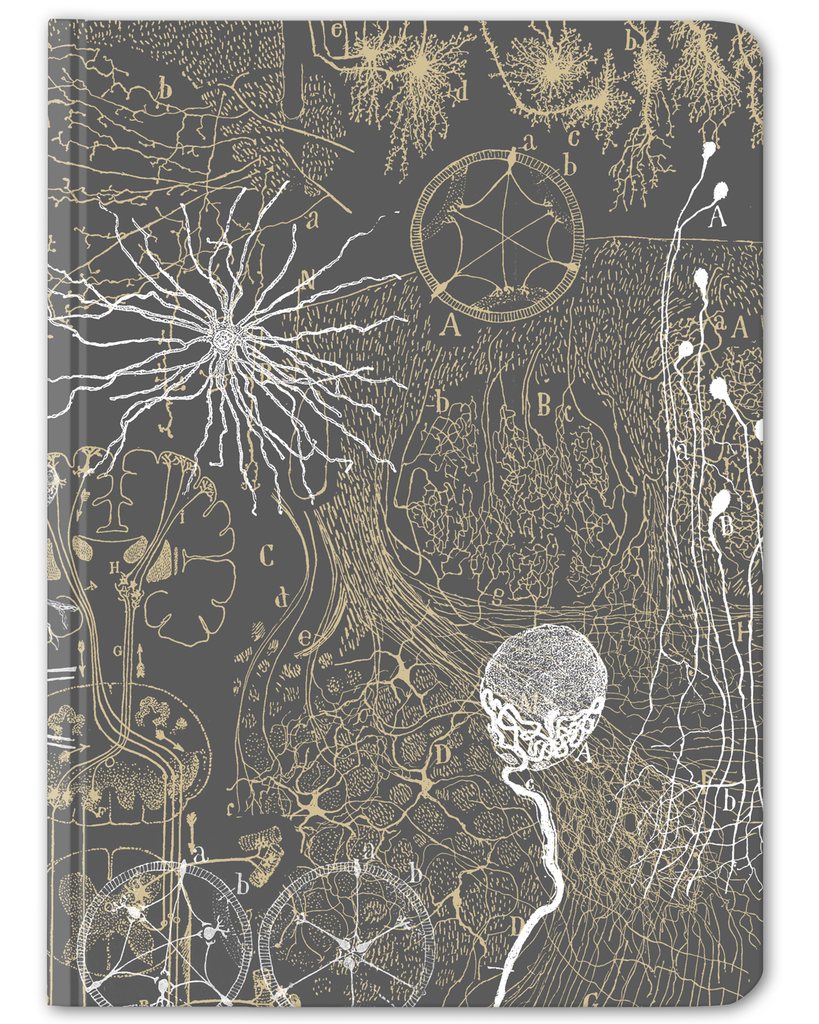 Nerdens notatbok - Hardcover / Nevroner