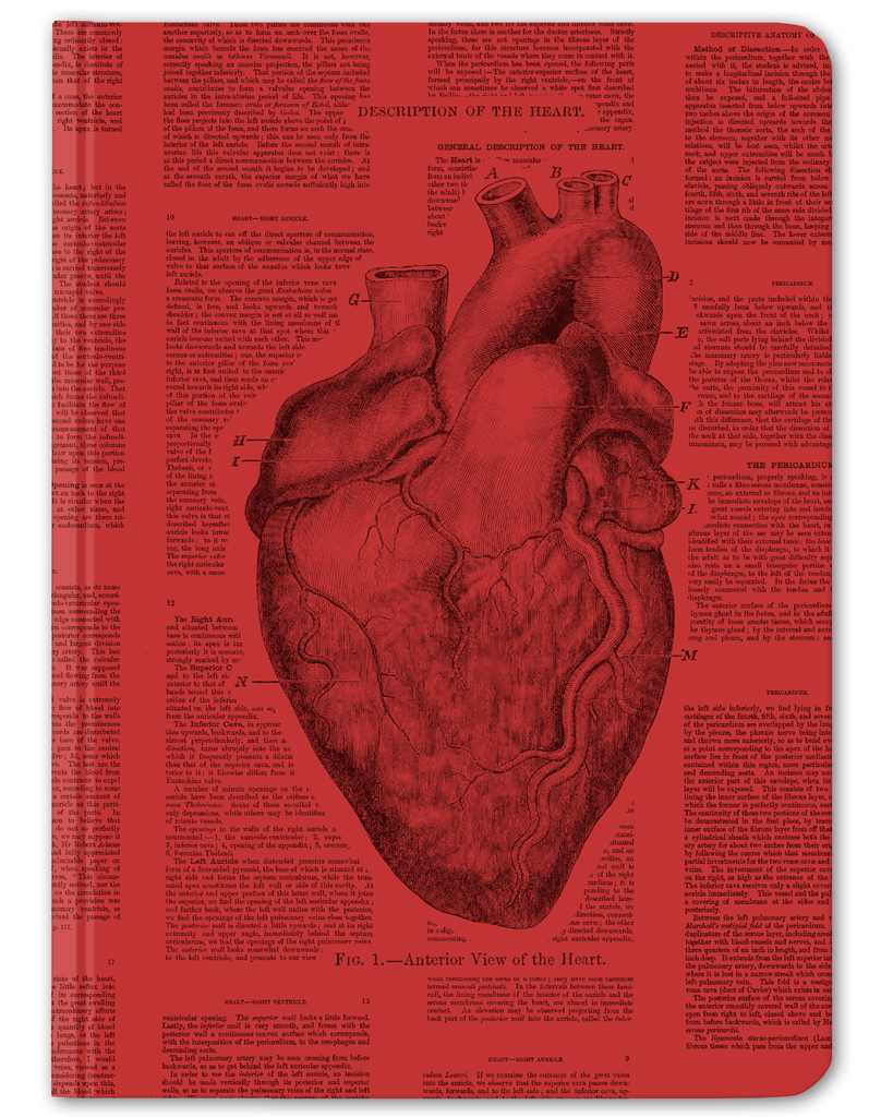 Nerdens notatbok - Hardcover / Stort anatomisk hjerte