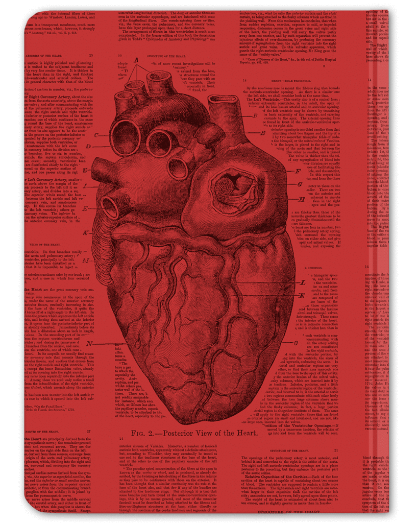 Nerdens notatbok - Softcover / Stort anatomisk hjerte - Nerdebutikken