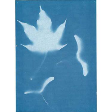 Solsensitivt papir